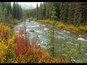 Snowy_Mountain_River