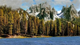Bear_Beautiful_Country