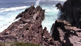 Whale_Spout