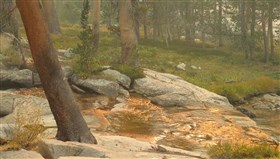 Golden_Creek