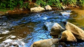 Stream