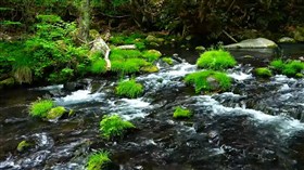 River Flow