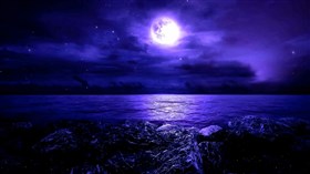 Dark Night