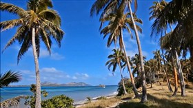 Fiji Islands