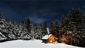 Winter Night