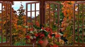 Fall Window