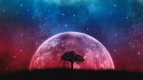 Moon Shot