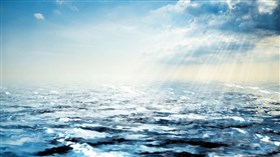 Sea Light