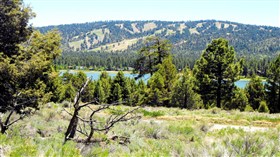 Lake Scape