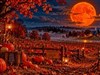 4K Pumpkin Patch