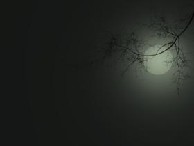 Moon dog