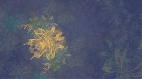 Pastel flower garden