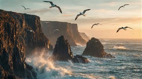 Ocean Cliffs Beauty