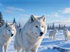 Winter Wolves