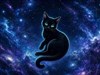 Space Kitty