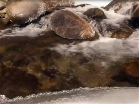 icesy stream