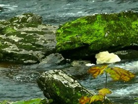 green rock stream
