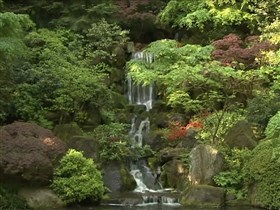jardin's garden waterfalls