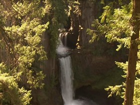 deep mayan forest waterfall