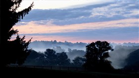 Morning Dawn