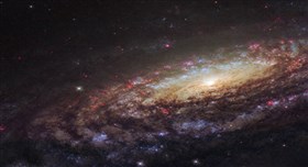 Spiral galaxy