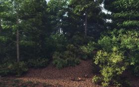 Dance of the Virginia Quail