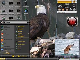 Wy Eagles