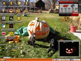 pumkin and friend