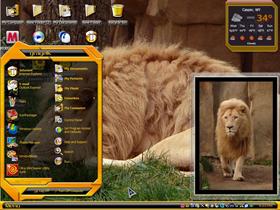 white lions 2