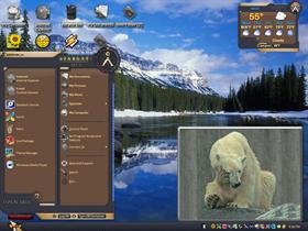 white bear