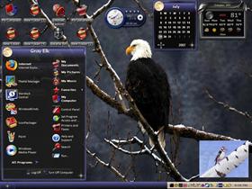 pretty bird 1