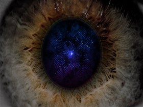 Eye