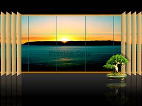 Bonsai Window