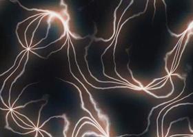 neurons