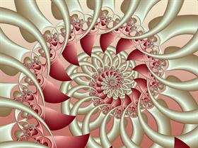 Filigree Beauty