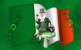 Saint Patricks Day 2010