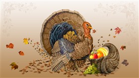 Thanksgiving Tom