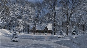 White Christmas Dreaming