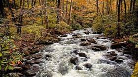 Chigago Creek Fall
