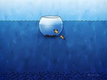 Aquarium