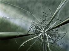 stringtheory