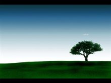 solitude