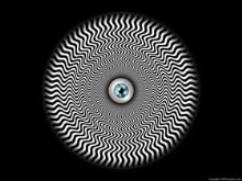 Optical Distortions 1 - Confusion