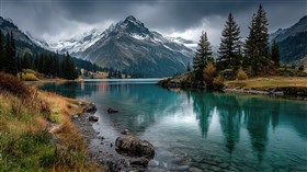 Autumn Pines 