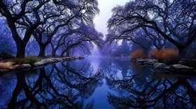Hanging Fog