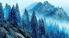 Tales of Blue Spruce