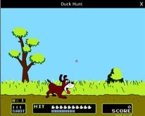 Duck Hunt