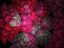 Many flowers by pm-ark