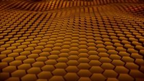 The Hexican Wave - Gold
