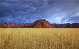 Kolob
